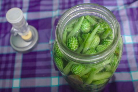 How to quick pickle any vegetable in the oak barrel?